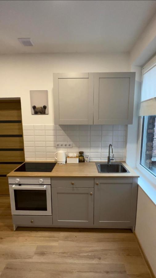Wood Apartment Катовице Екстериор снимка